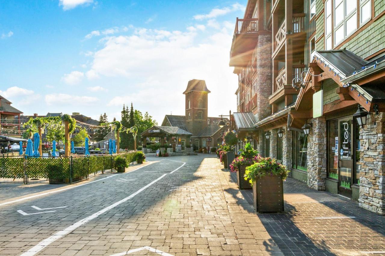 Modern Mountainside Ski In Ski Out 87111 Blue Mountains Εξωτερικό φωτογραφία