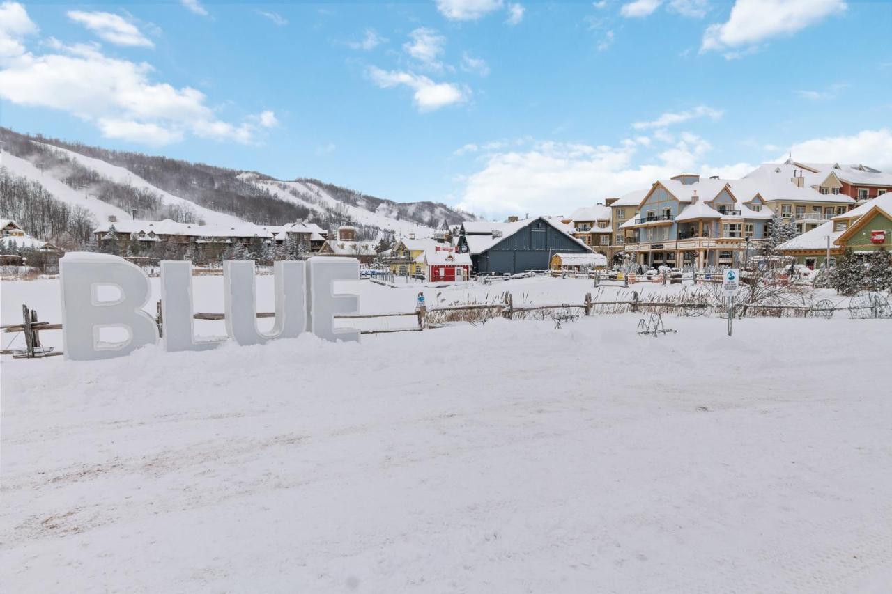 Modern Mountainside Ski In Ski Out 87111 Blue Mountains Εξωτερικό φωτογραφία